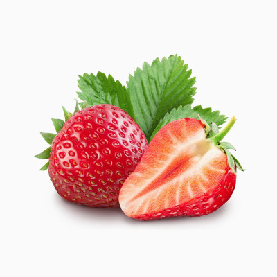 تی شرت طرح زرین بال