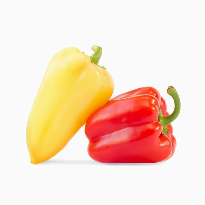 سویشرت طرح زرین بال