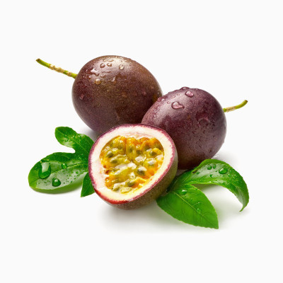 قاب شروع ماجراجویی